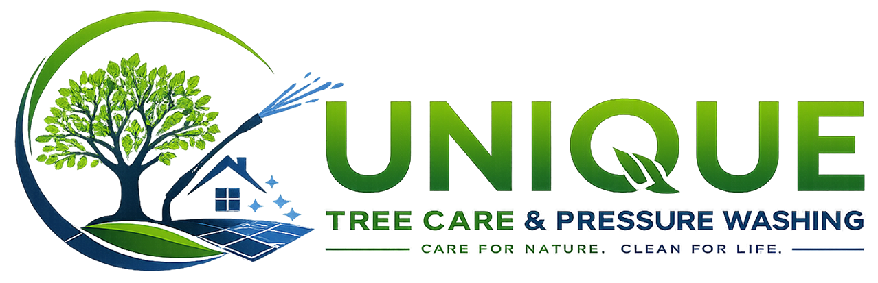 Unique TreeCare HD Transparent cr